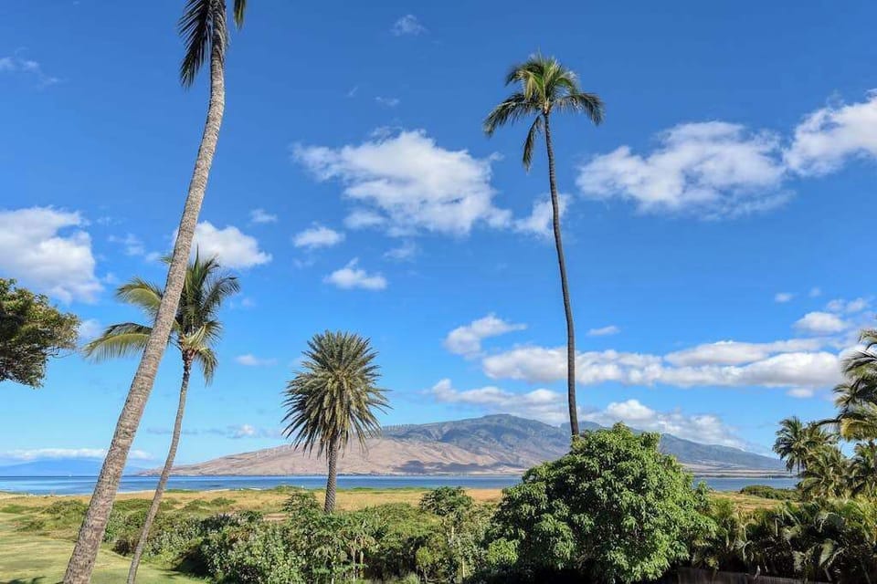 Sweeping Coastal Views In Every Direction