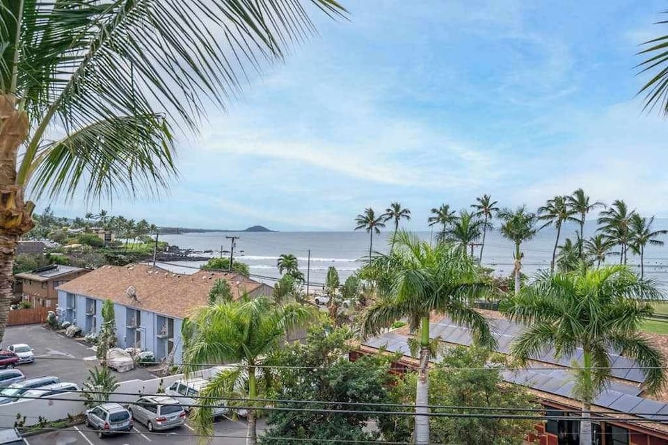 Tropical Coastal Neighborhood Views