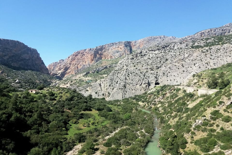 Region [summer] (>5 km)