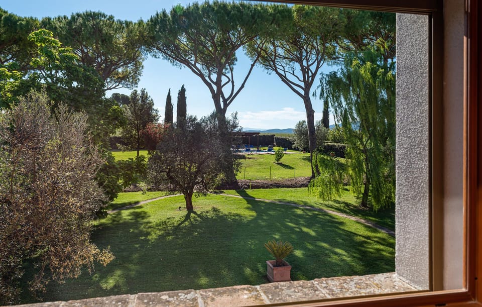 view-from-room