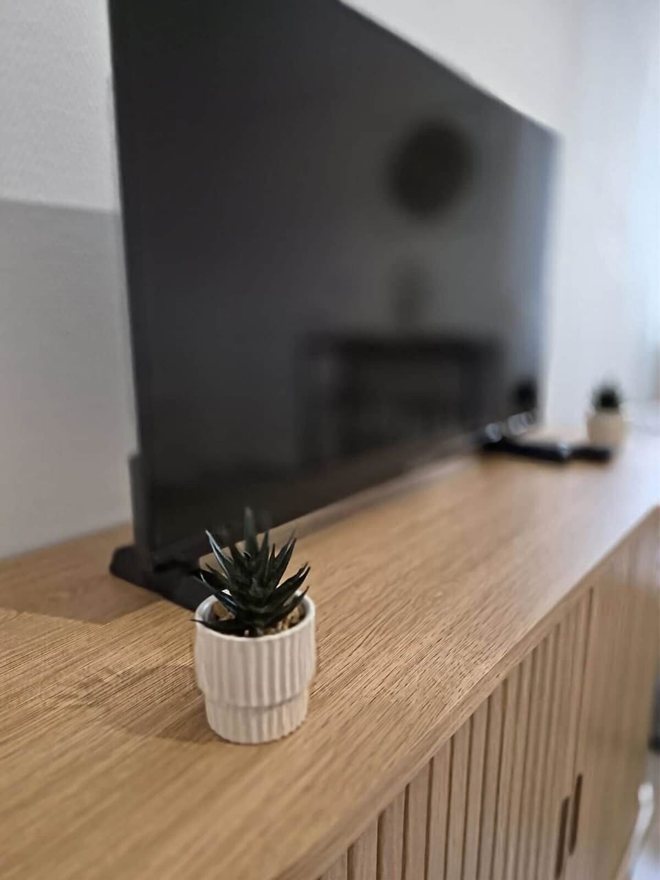 Television