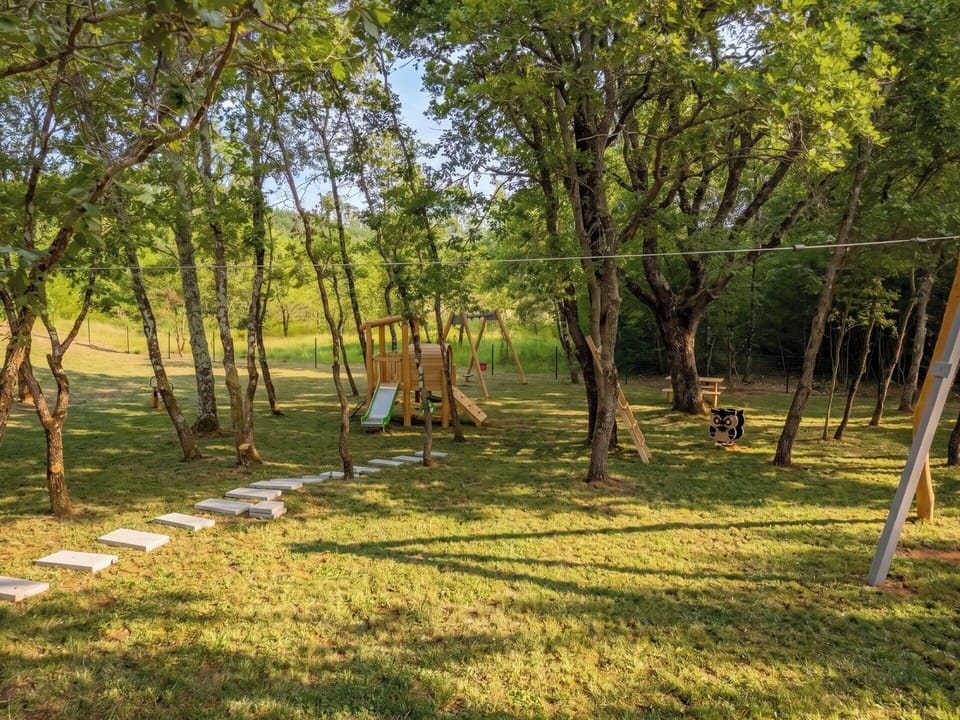 Tree, Grass, Leaf, Branch, Wood, Trunk, Land Lot, Plain, Spring, Lawn