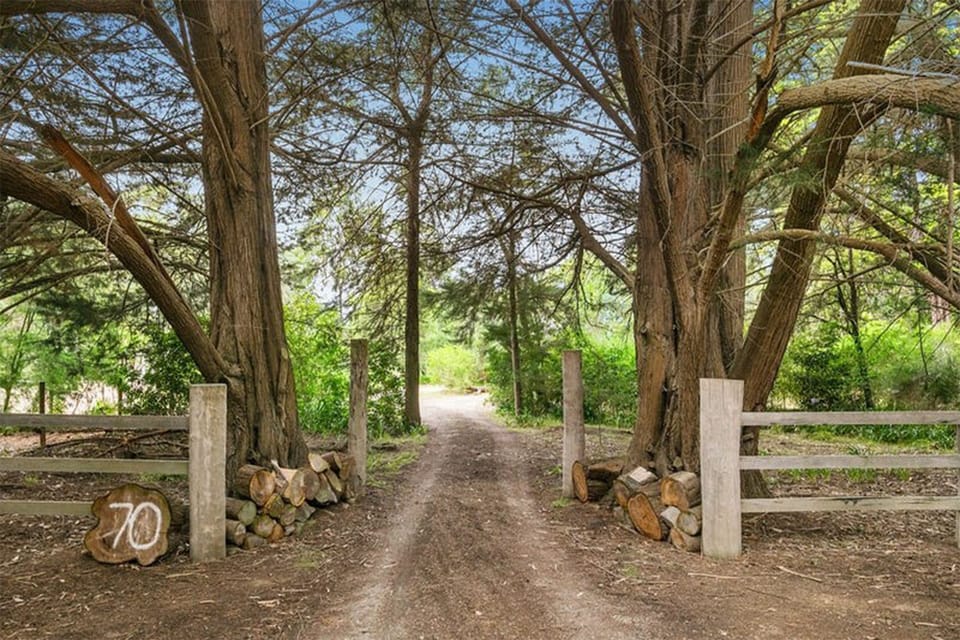 Private tree-lined driveway with a serene, rustic country welcome