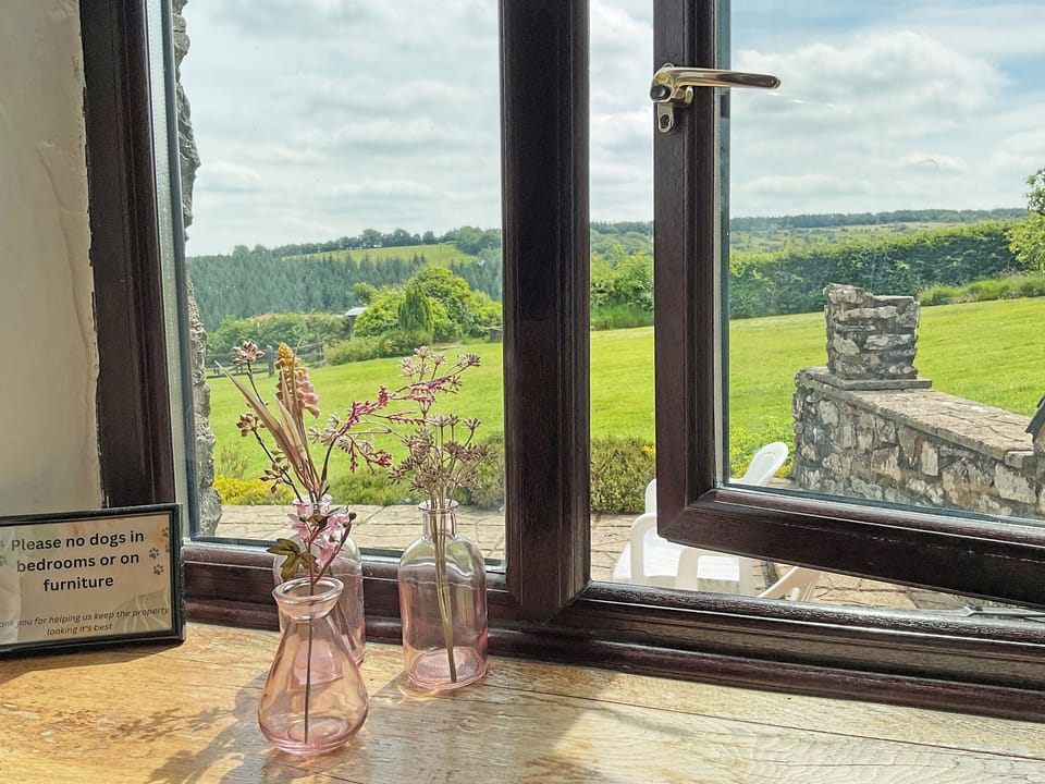 View | Jasper - West Hollowcombe Farm, Dulverton