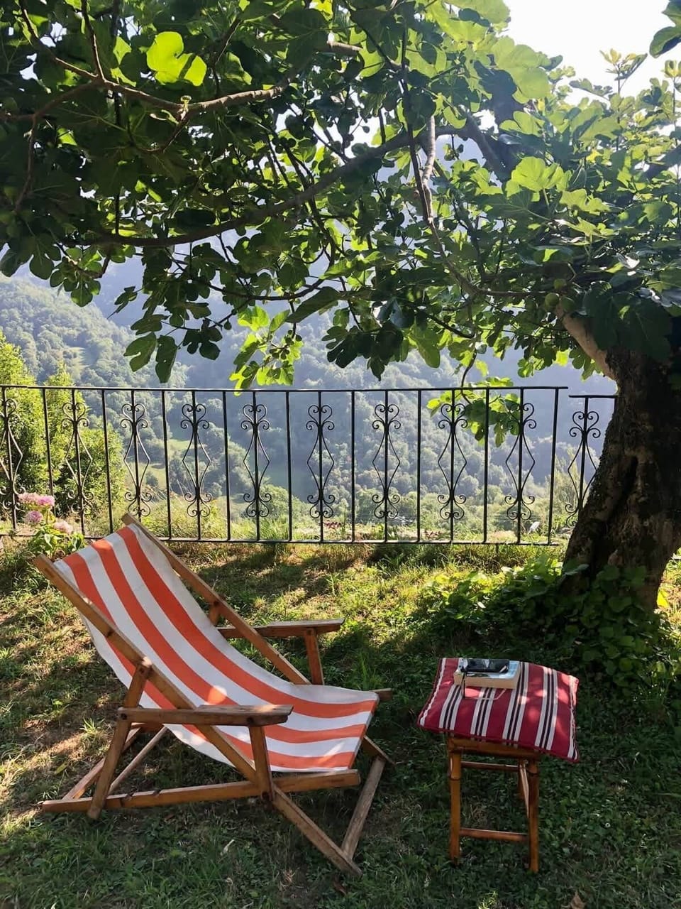 Tumbonas en el jardín · Deckchairs in the garden