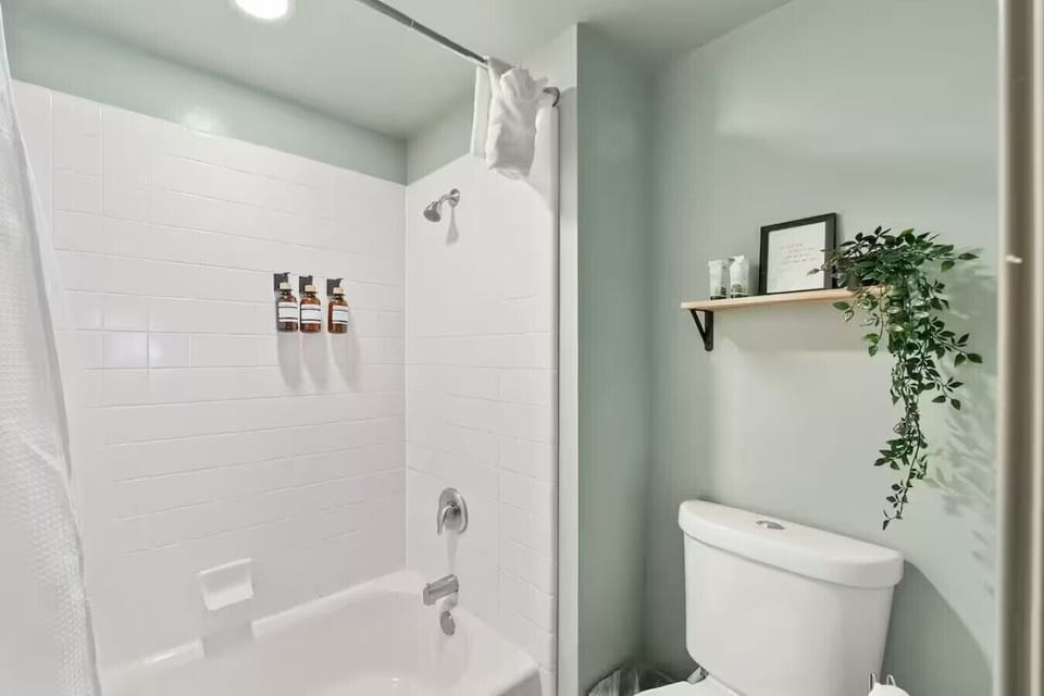 Bathroom Tub & Toilet