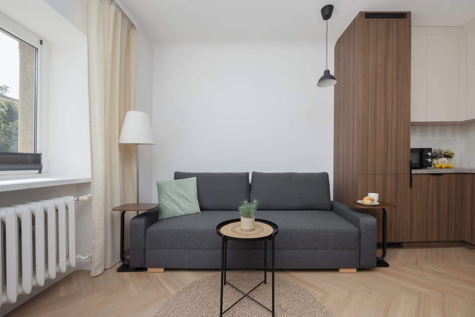 A comfortable sofa bed in the living area, perfect for relaxing or accommodating additional guests. The bright room creates a cozy atmosphere throughout the day.