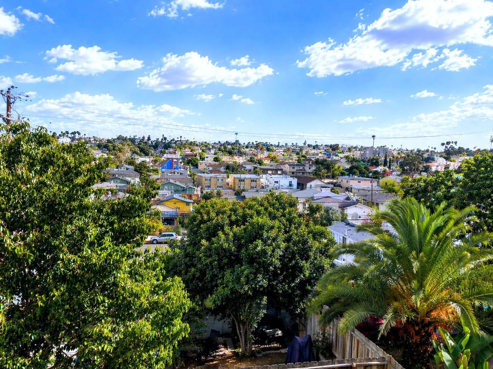 Sunny hilltop panorama over a palm-lined neighborhood—relax and enjoy.