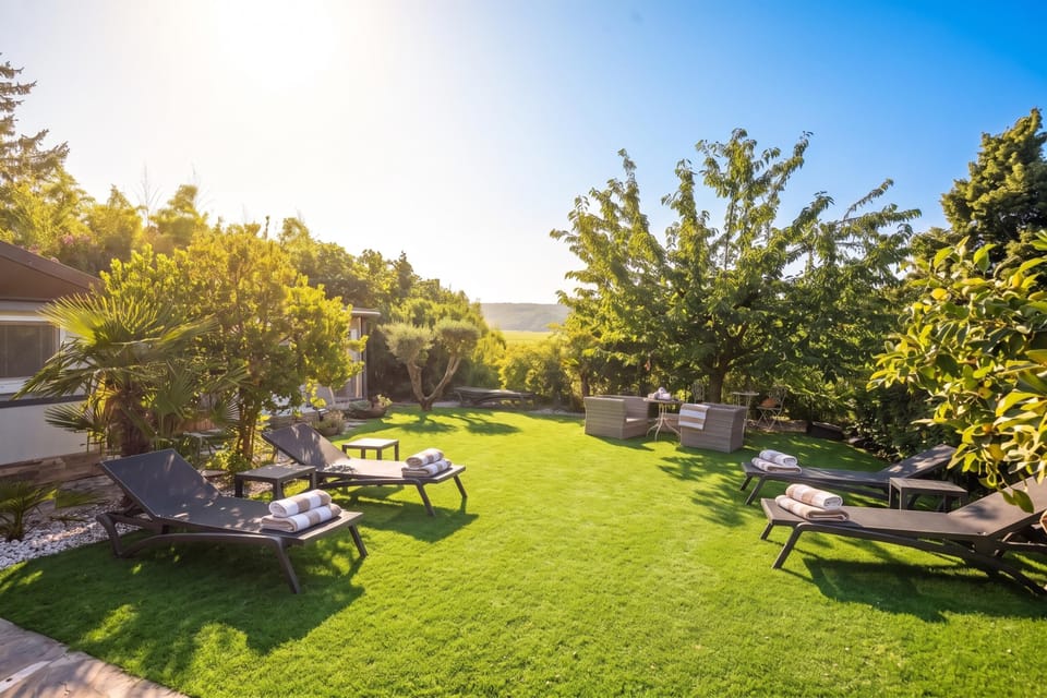 Shared Garden