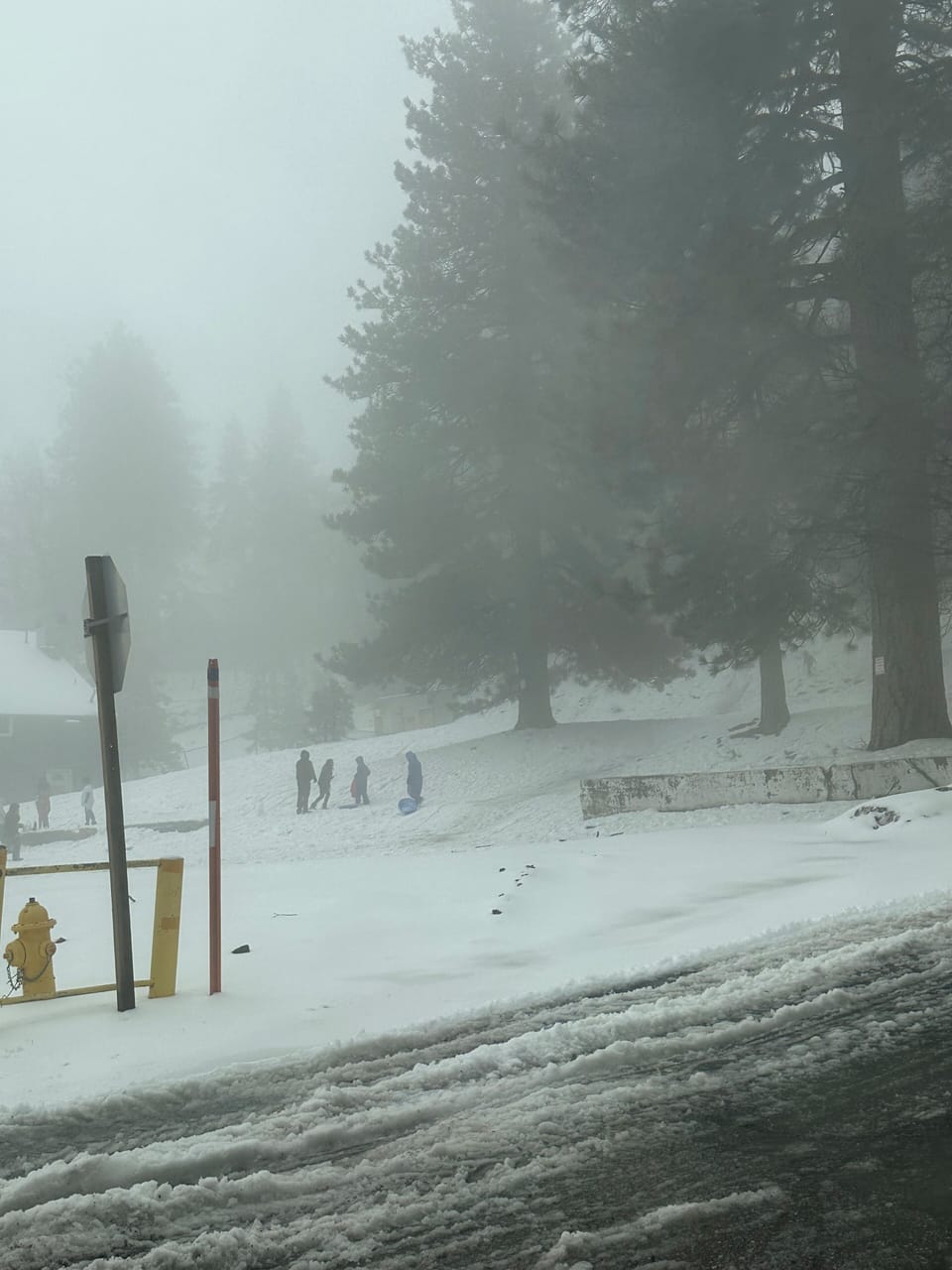 Snow and ski sports