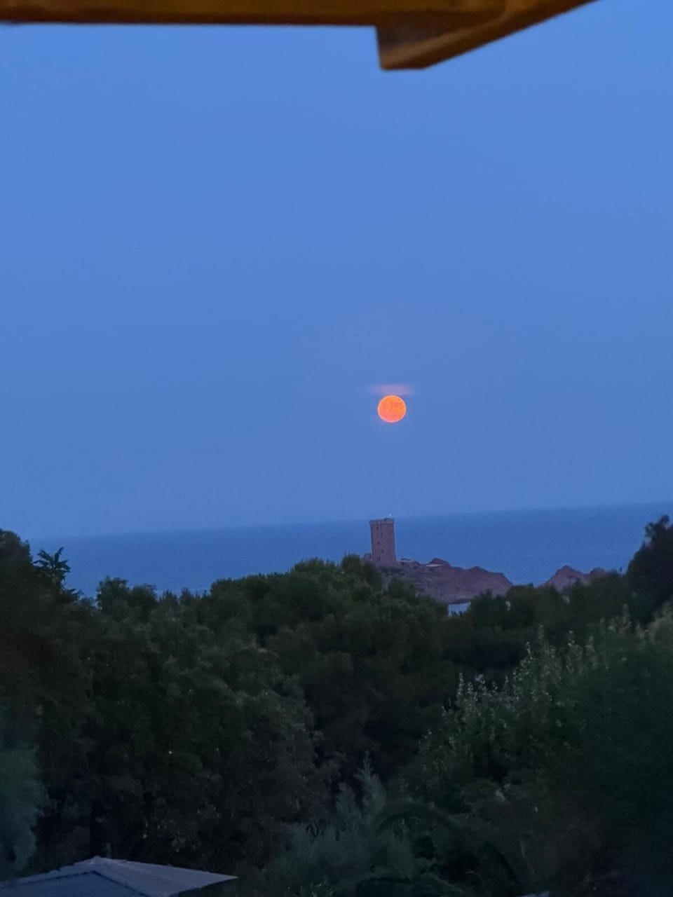 View from property