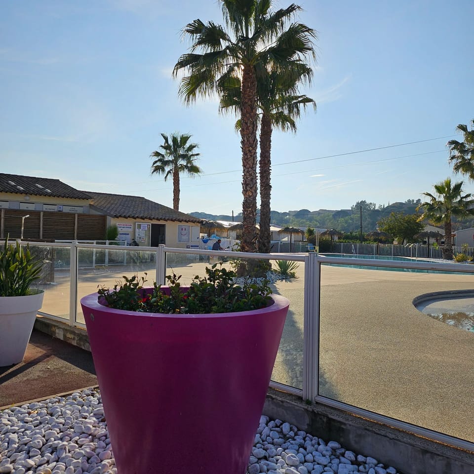 Swimming pool view