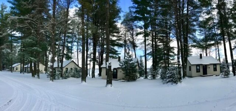 Lakefront Loon Lodge (522)