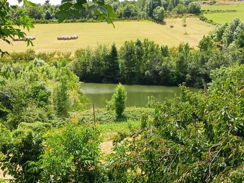 Lake view