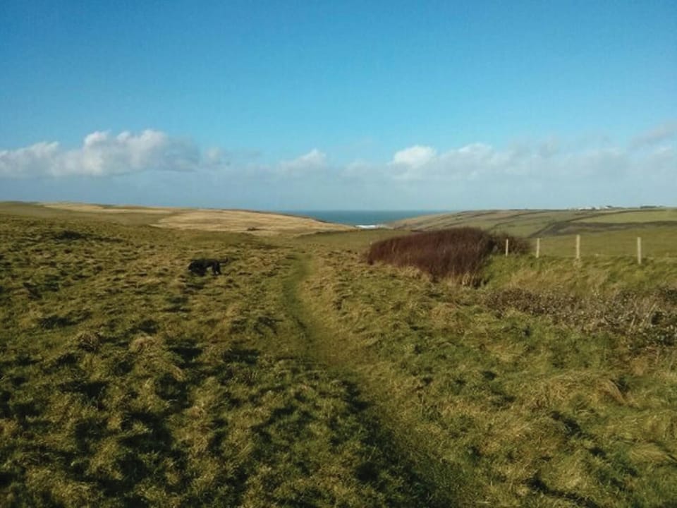 Cubert Common