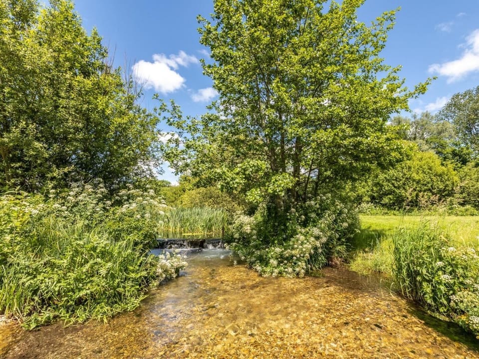 An idyllic waterside location set in extensive grounds