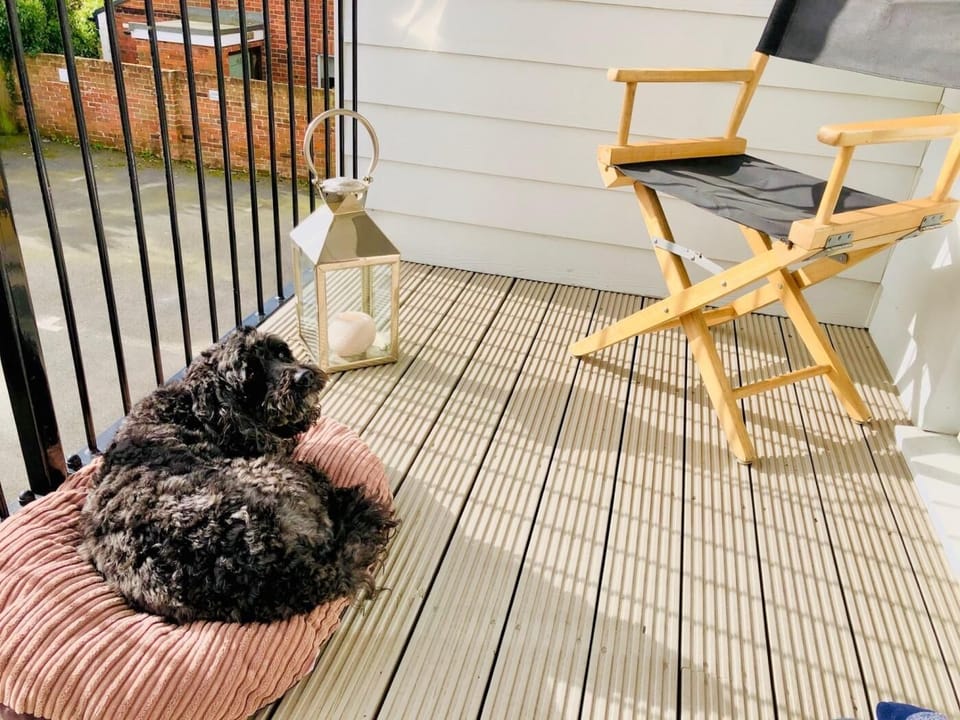 Soaking up the rays 