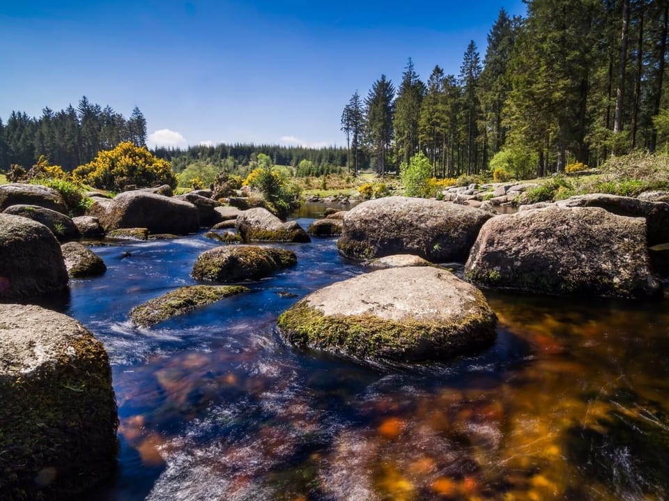 Take a trip to Dartmoor