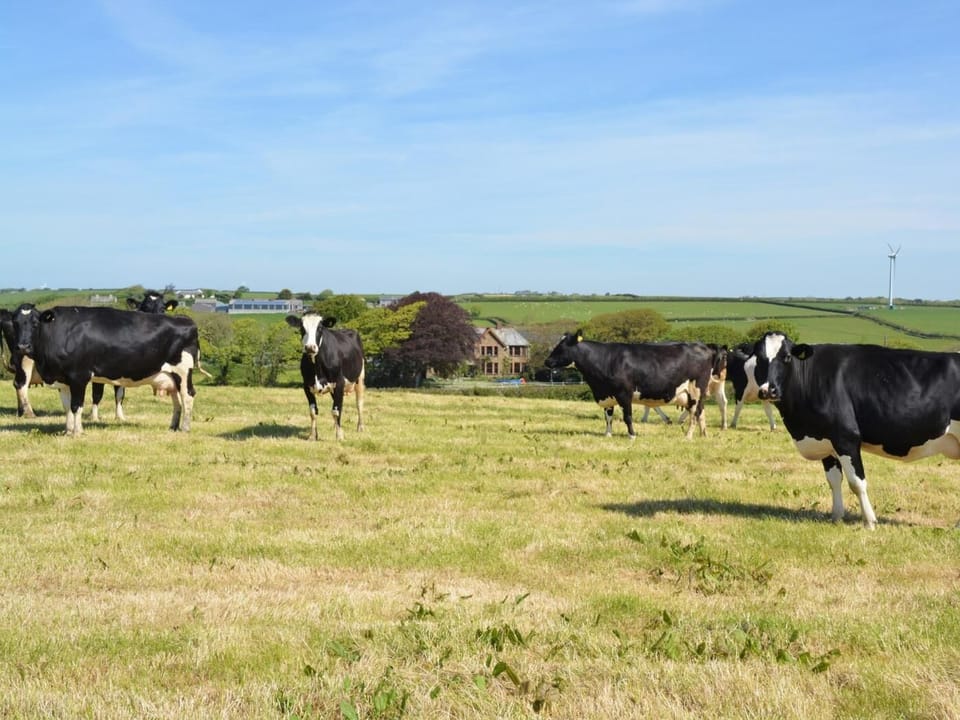 Views across the farmland towards the property
