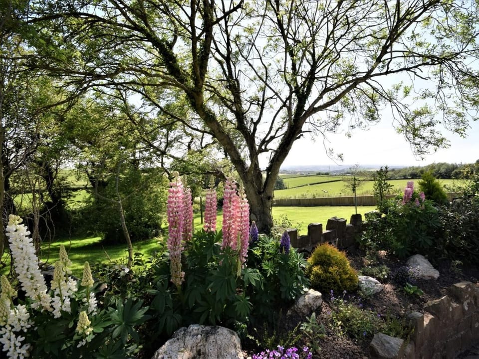Countryside views from the farm