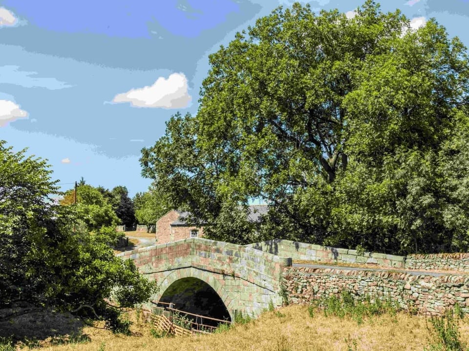 Views around the farm