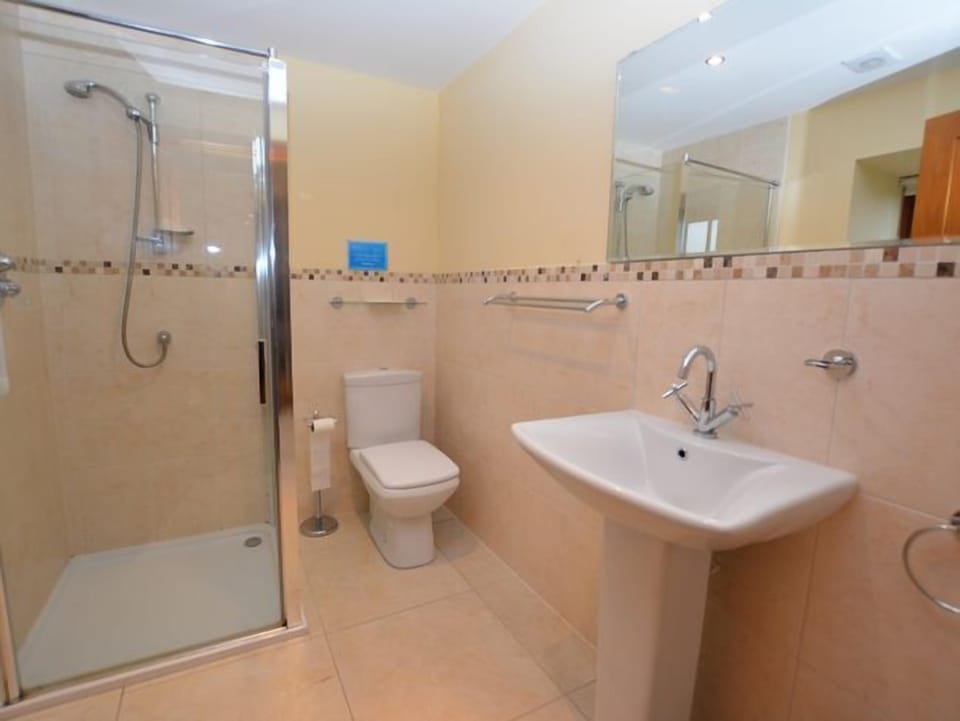 Modern ground-floor shower room