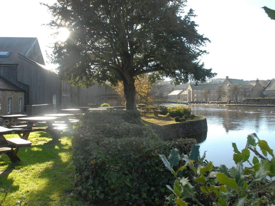 Nearby river views