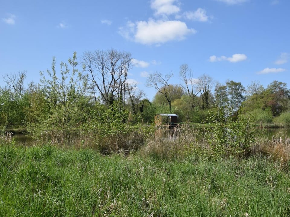 Surrounded by nature 