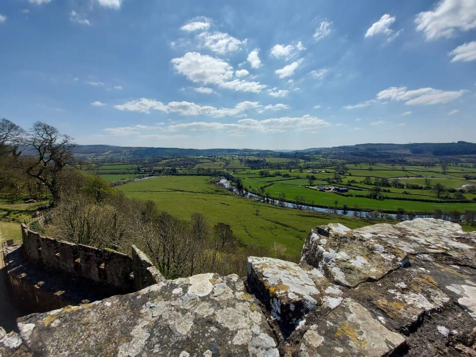 Explore Dinefwr Castle within the National Trust Park of Llandeilo