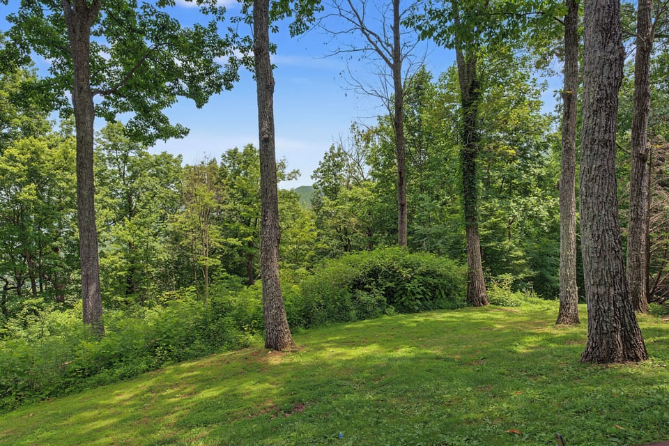 A peaceful wooded area surrounds the property, offering natural privacy and scenic views of the rolling hills beyond.