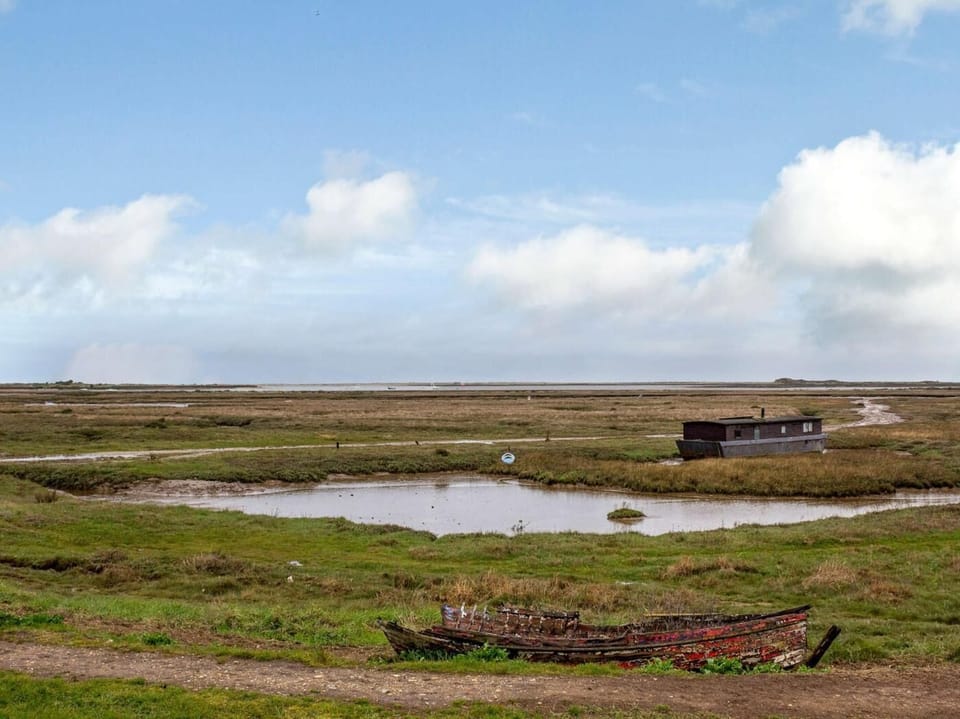 Saltmarsh 
