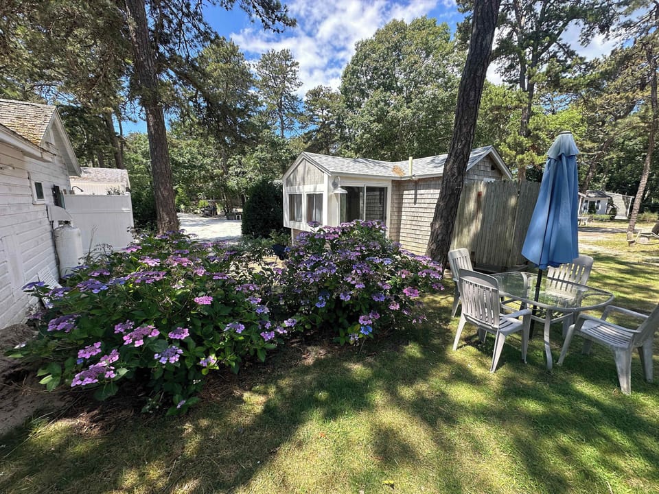 Backyard area of cabin
