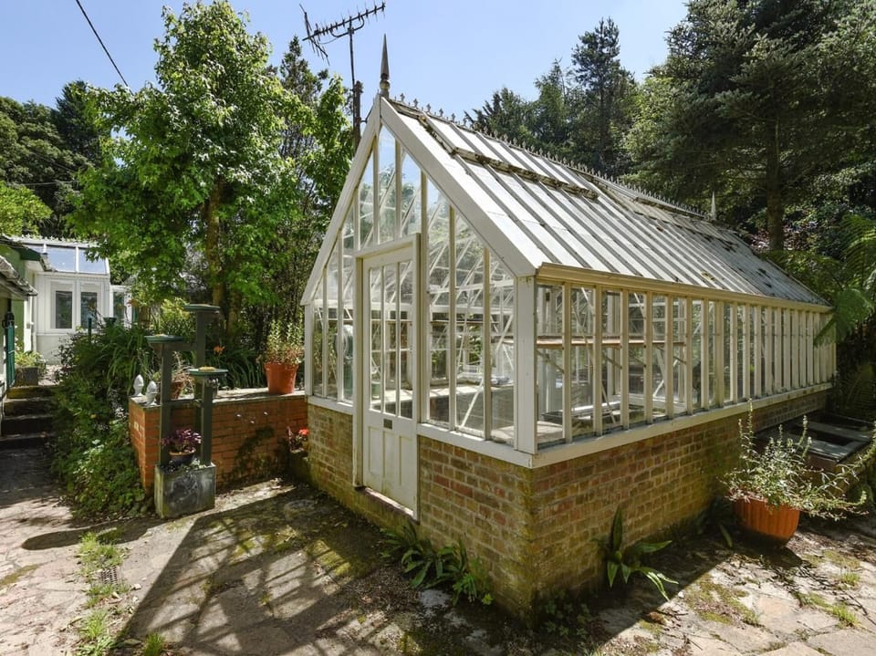 Plant your own seeds in the greenhouse