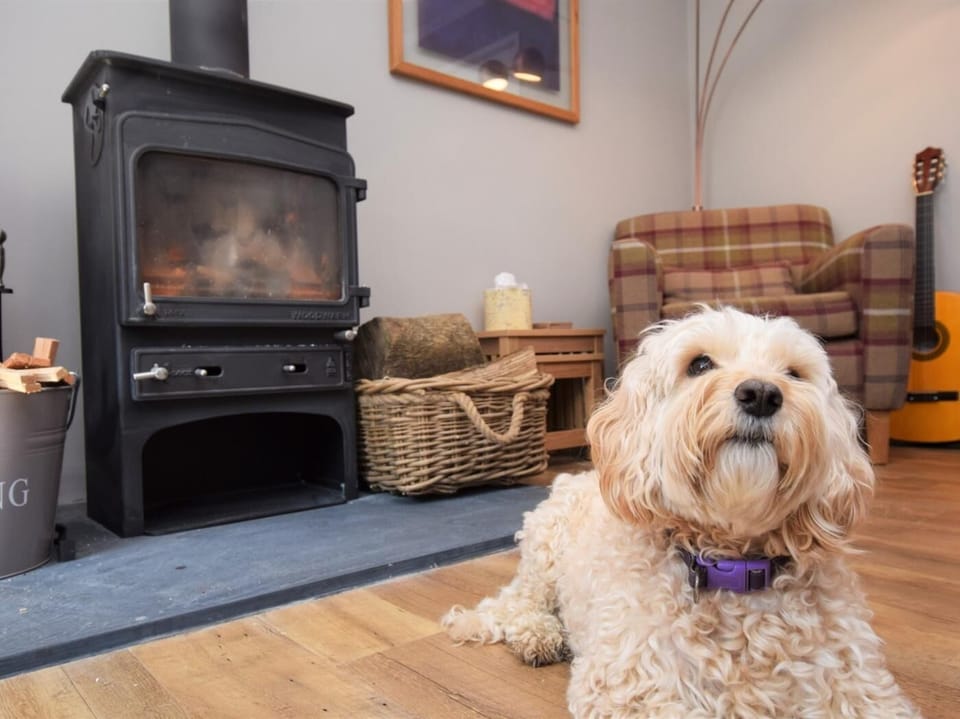 Relax with all the family in front of the woodburner