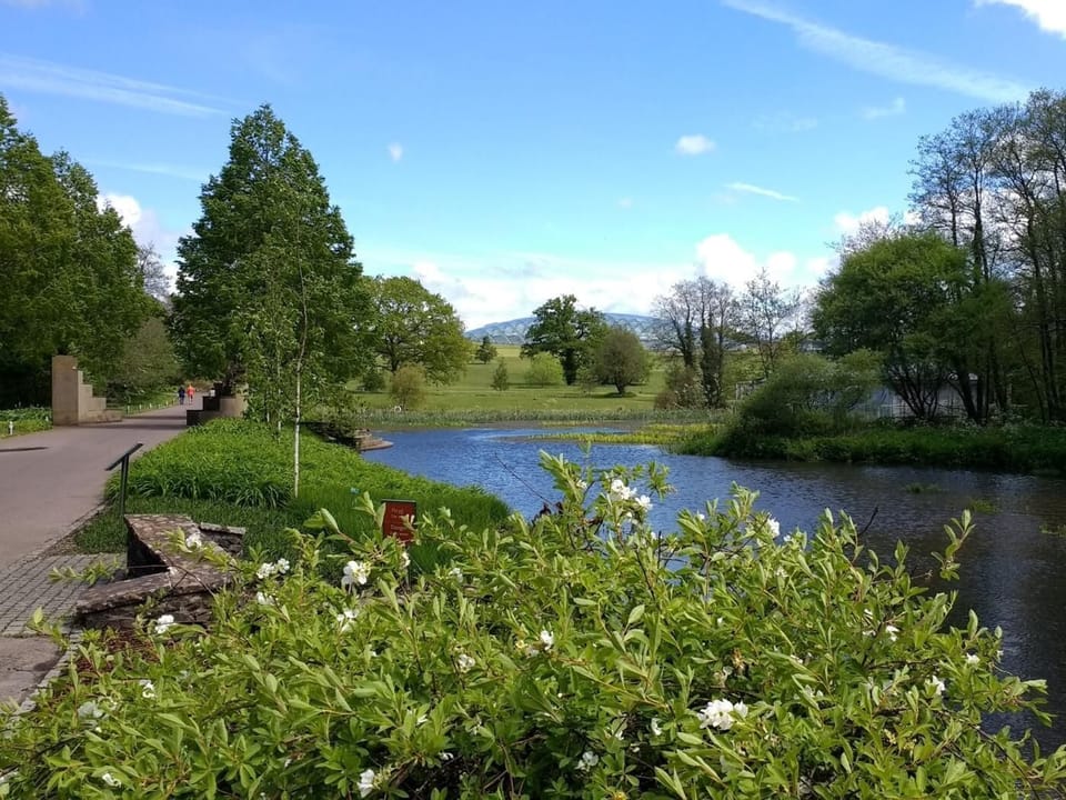 Take a trip to the beautiful Botanic Gardens which are just a short drive