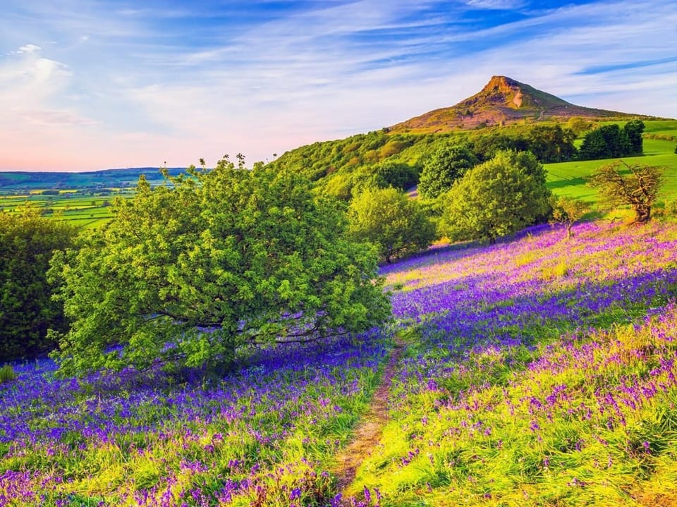 Nearby Roseberry Topping 