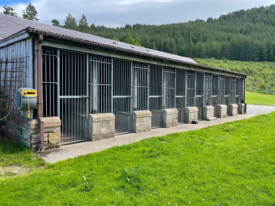Outside Kennels for dogs
