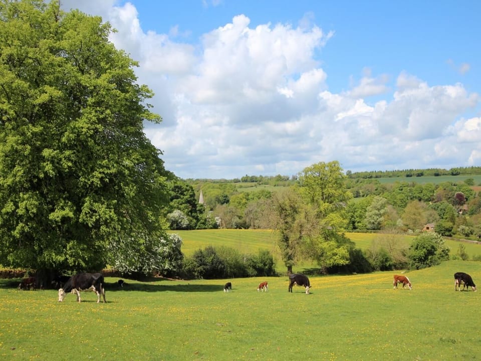 Surrounded by lovely countryside
