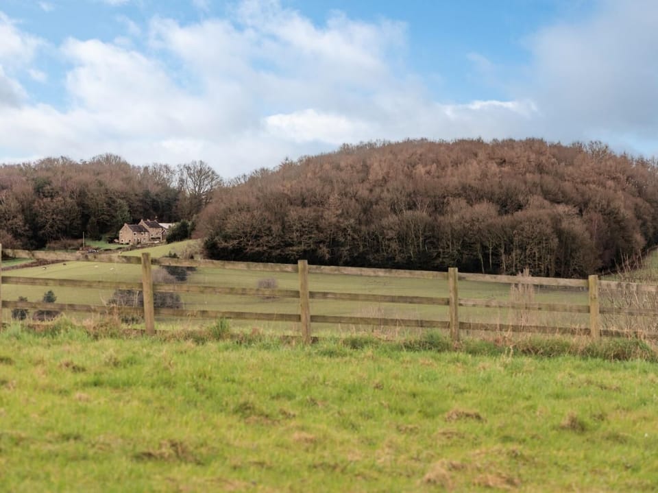 Nearby fields and walks