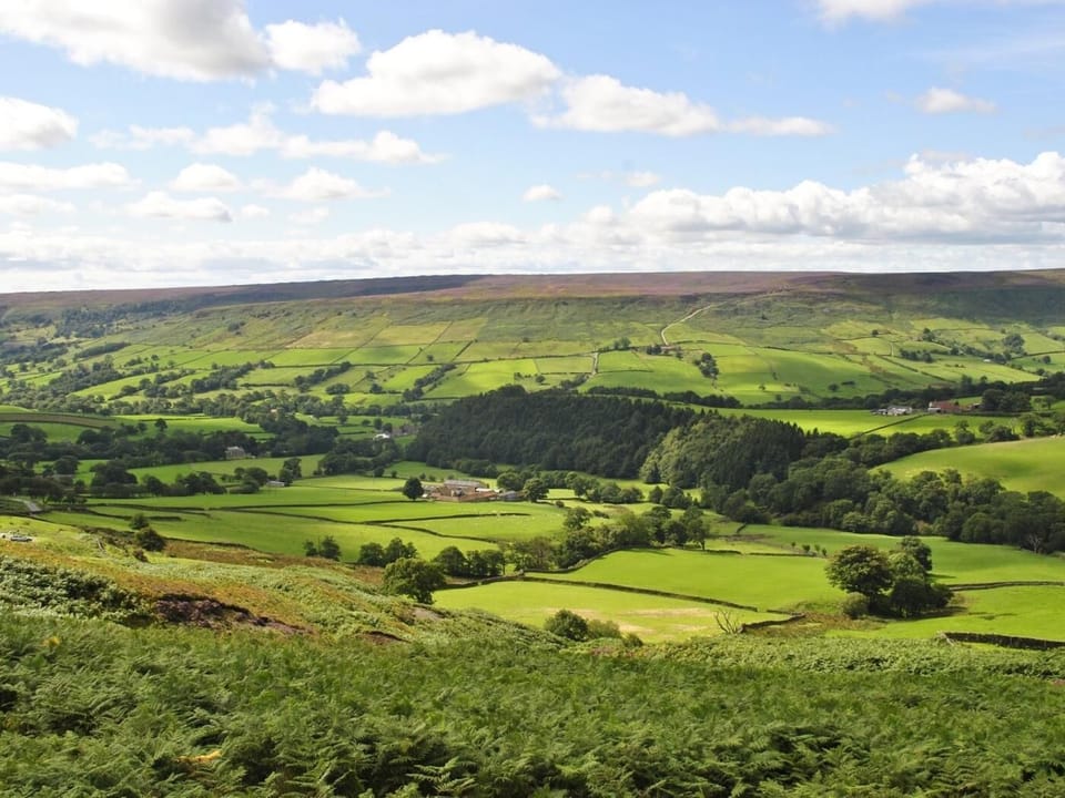 Be stunned by the breaktaking North Yorkshire Moors