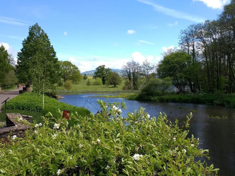 Take a trip to the beautiful Botanic Gardens which is just a short drive