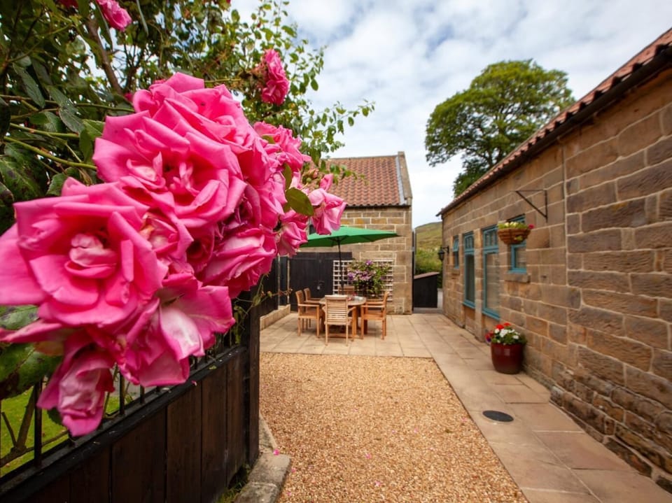 Pretty garden