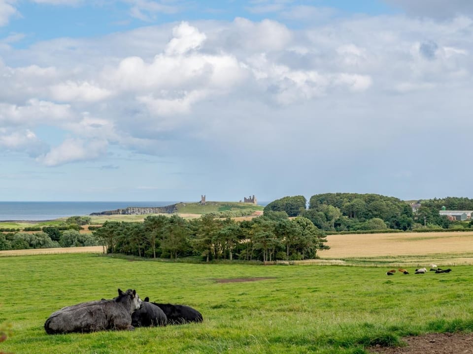 Surrounding countryside 