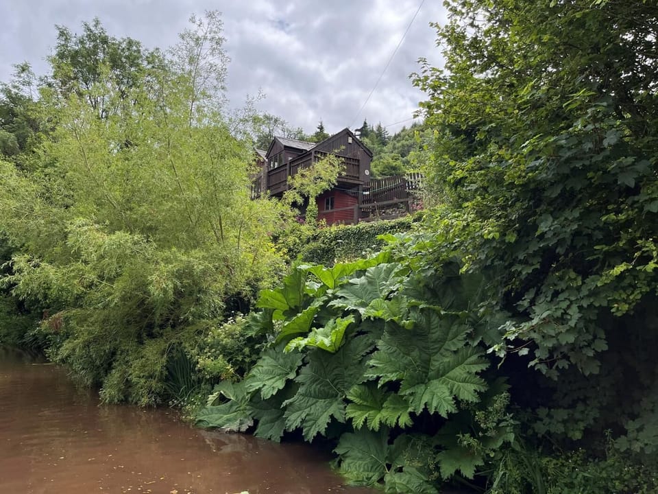 Perfectly situated for a canal stroll