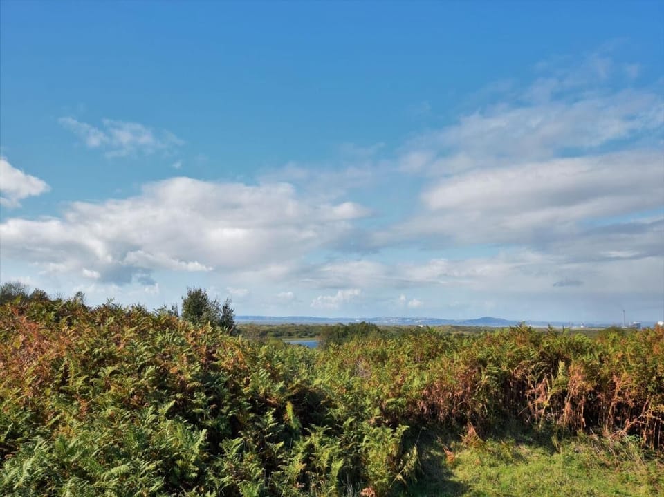 Explore the designated Site of Special Scientific Interest at Kenfig