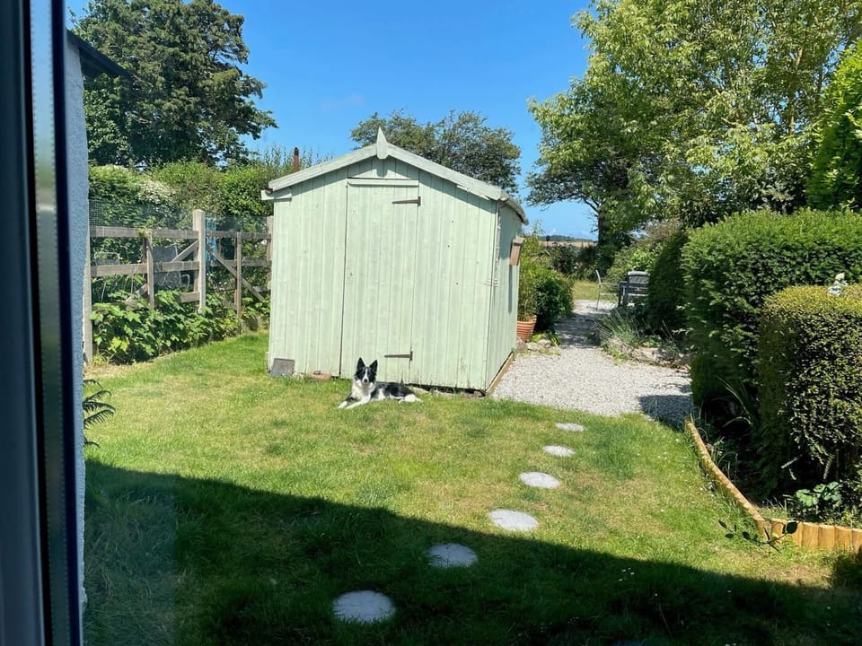 The back garden is pretty and welcoming