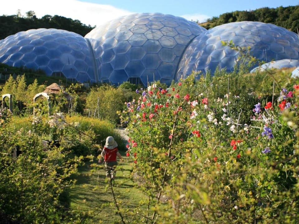 Visit the world famous Eden Project