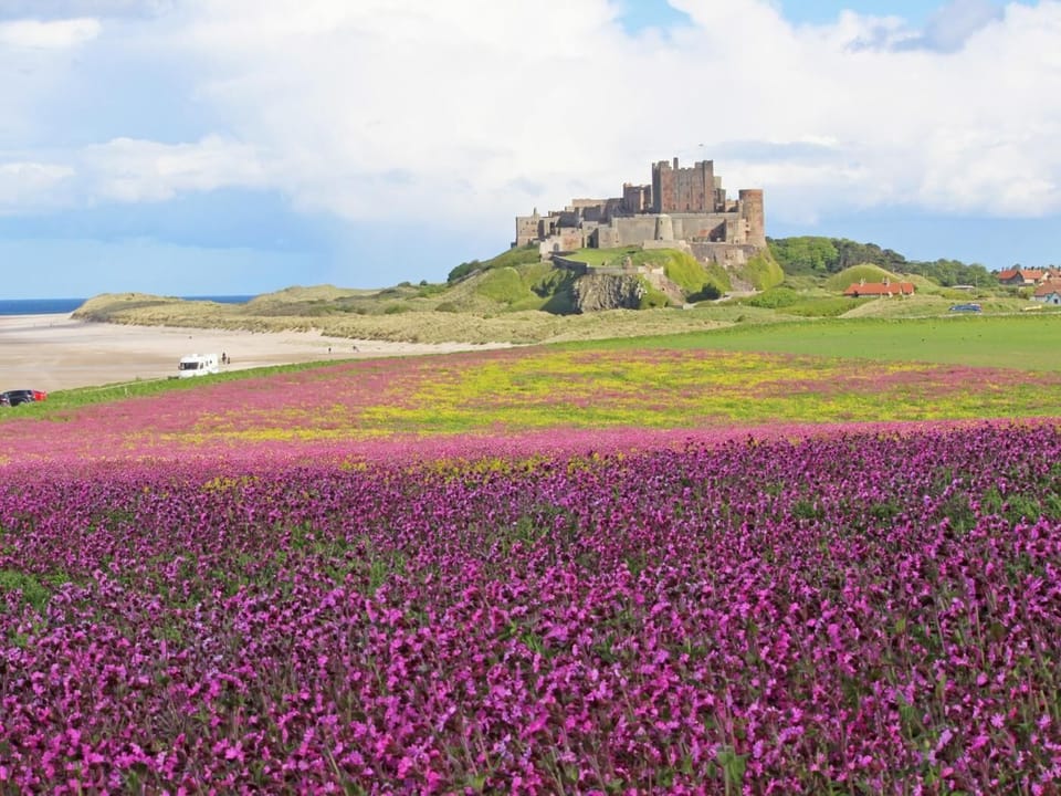 Walk to nearby Bamburgh Castle