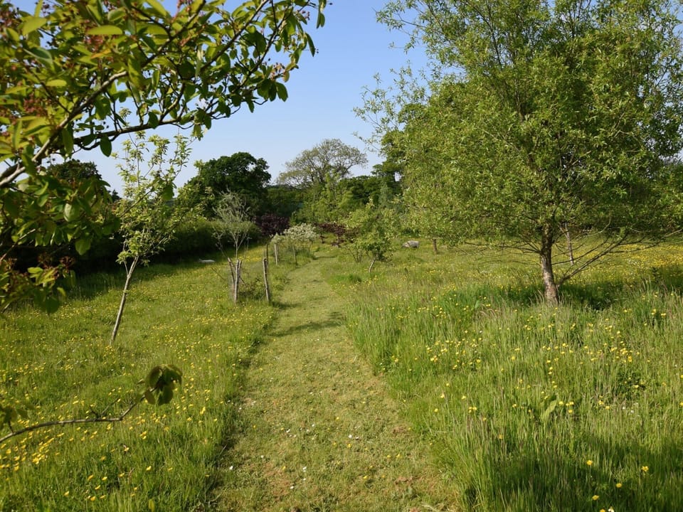 Guests area welcomed to explore the surrounding fields