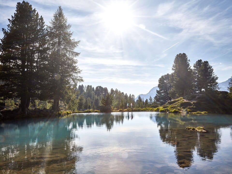 Blue, Water, Body Of Water, Water Resources, Tree, Green, Nature, Natural Landscape, Reflection, Wilderness